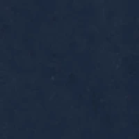 NCAA Ole Miss Rebels Tempest Shorts