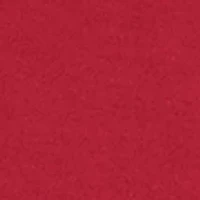 NCAA Arkansas Razorbacks Charlie Team Crew Pullover