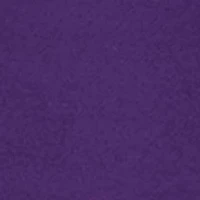 NCAA East Carolina Pirates Charlie Team Crew Pullover