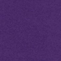 NCAA LSU Tigers Charlie Team Crew Pullover