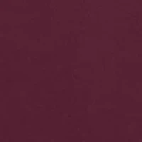 NCAA Alabama A&M Bulldogs Team Hoodie