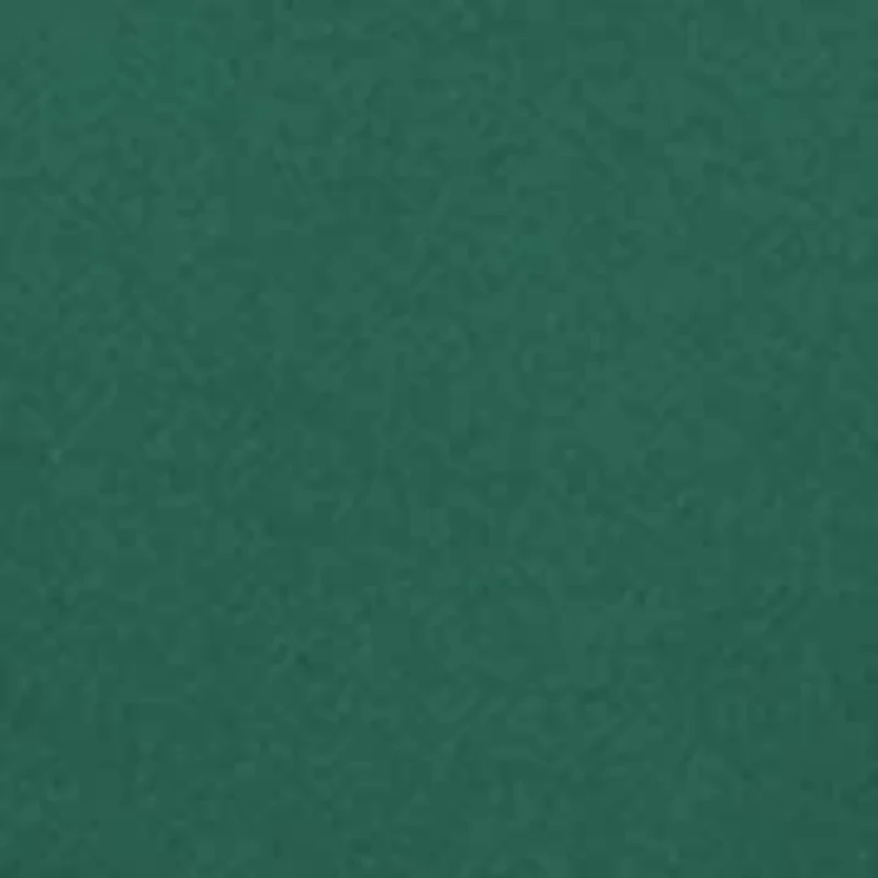 NCAA Baylor Bears Hoodie