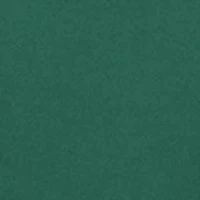 NCAA Baylor Bears Hoodie