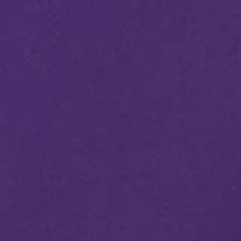 NCAA East Carolina Pirates Charlie Team Hoodie