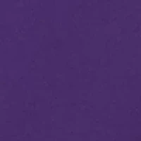 NCAA East Carolina Pirates  Charlie Team Hoodie