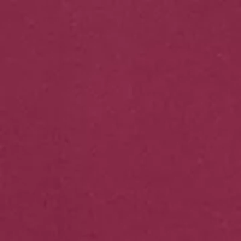 NCAA Florida State Seminoles Charlie Team Hoodie