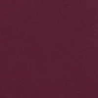 NCAA Mississippi State Bulldogs  Charlie Team Hoodie