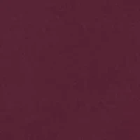 NCAA Morehouse Maroon Tigers  Team Hoodie