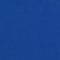 NCAA NC A&T Aggies  Team Hoodie