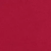 NCAA Tuskegee Golden Tigers Team Hoodie