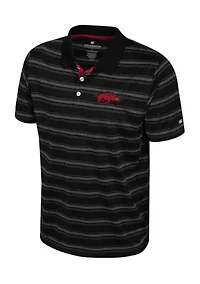 NCAA Arkansas Razorbacks Polo Shirt