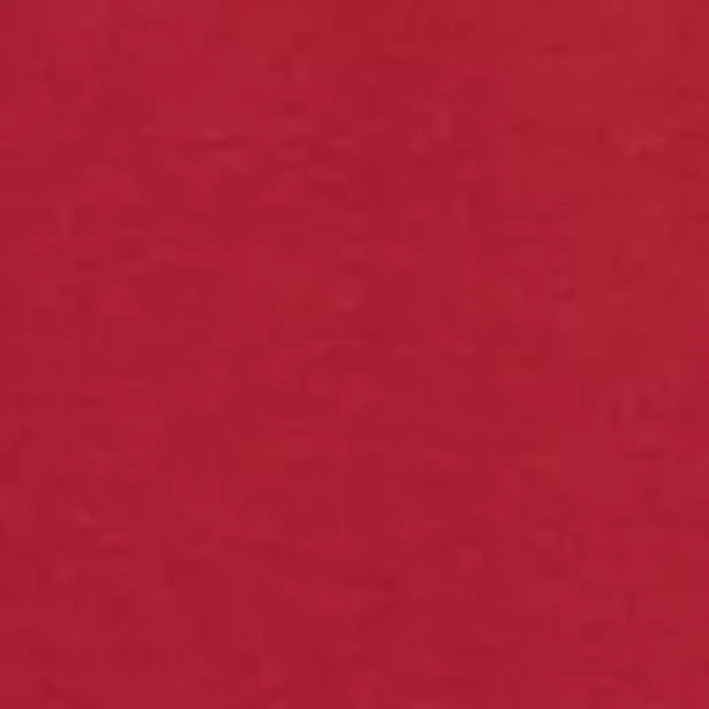 NCAA Arkansas Razorbacks Bar Graphic T-Shirt