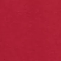 NCAA Arkansas Razorbacks Bar Graphic T-Shirt