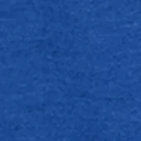 NCAA Tennessee State Tigers Back Business Long Sleeve Graphic T-Shirt