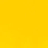 NCAA LSU Tigers Graphic T-Shirt