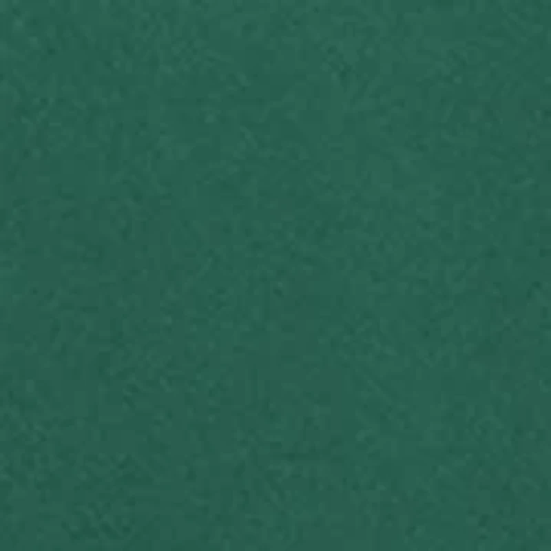 NCAA Baylor Bears Bird Law Graphic T-Shirt