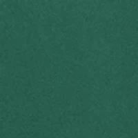 NCAA Baylor Bears Bird Law Graphic T-Shirt