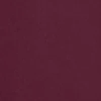 NCAA Morehouse Maroon Tigers Bird Law Graphic T-Shirt