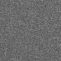 NCAA Florida A&M Rattlers Twin Short Sleeve Graphic T-Shirt