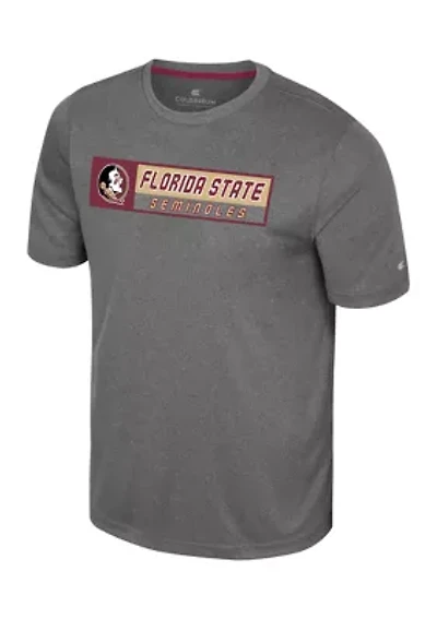 NCAA Florida State Seminoles Short Sleeve Team Logo Graphic T-Shirt