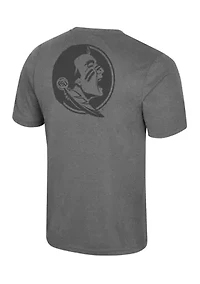 NCAA Florida State Seminoles Short Sleeve Team Logo Graphic T-Shirt
