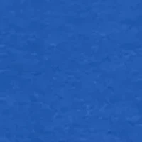 NCAA Tennessee State Tigers Back Business Short Sleeve Graphic T-Shirt