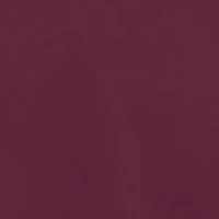 NCAA Mississippi State Bulldogs Goes America Coach Pullover