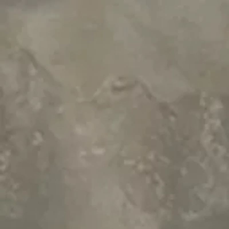 REALTREE® Sublimated Fleece Hoodie