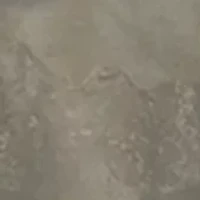 REALTREE® Sublimated Fleece Hoodie