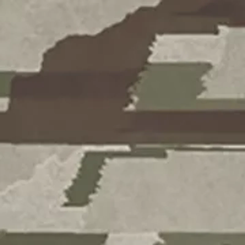 Big & Tall Camouflage T-Shirt