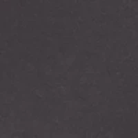 Sasquatch State Flag