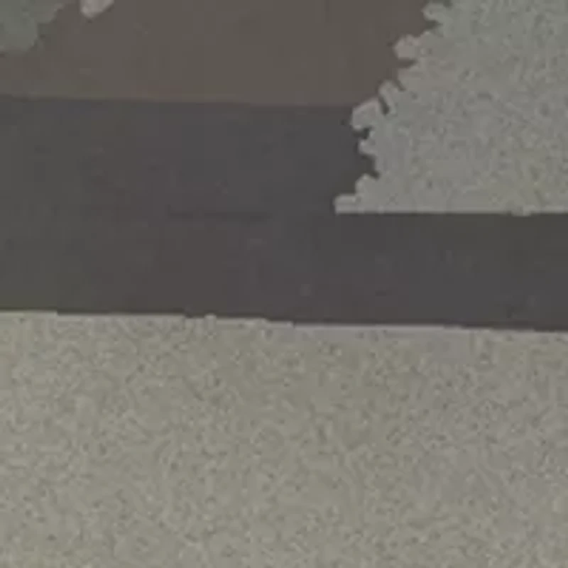 Men's State Pride Swim Shorts