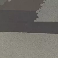 Men's State Pride Swim Shorts