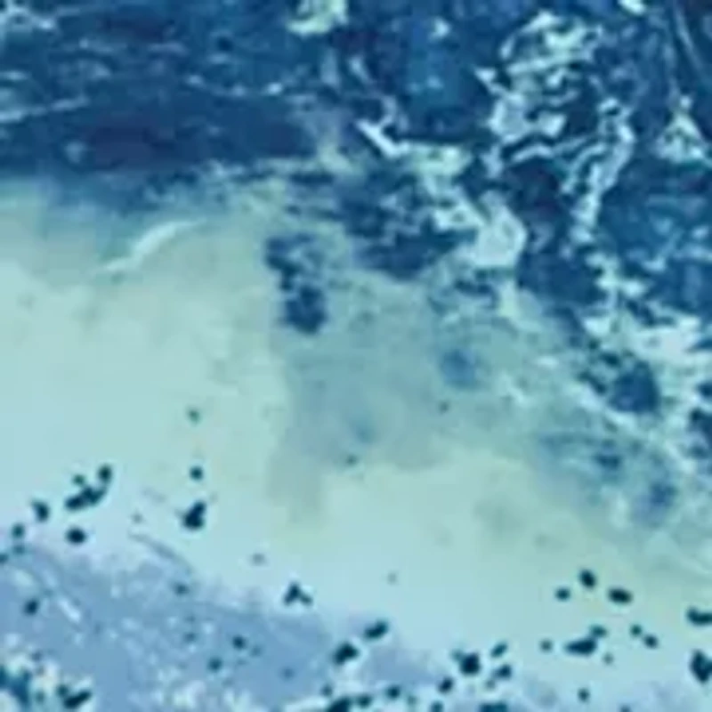 Big & Tall Short Sleeve Charter Fishing Shirt