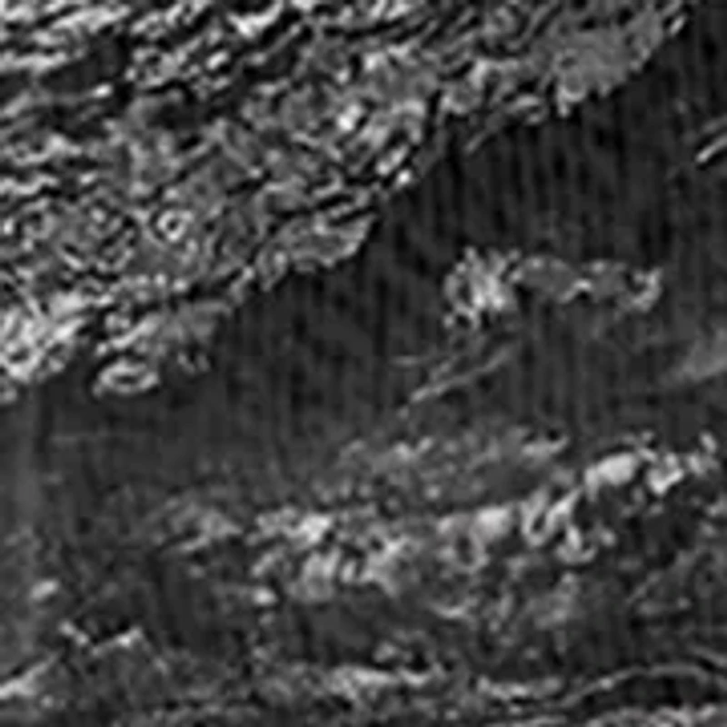 RealTree by Colosseum Athletics NCAA NC State Wolfpack Short Sleeve Fishing Shirt