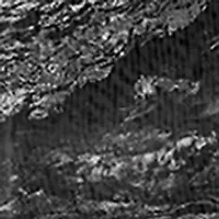 RealTree by Colosseum Athletics NCAA NC State Wolfpack Short Sleeve Fishing Shirt