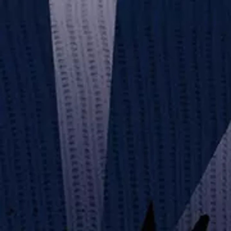 NCAA Mascot Ka-Pow Socks