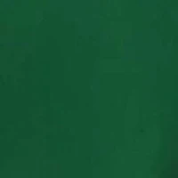 Glorious Green Long Sleeve Shirt
