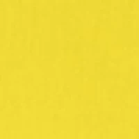 Yellow Fellow Long Sleeve Shirt