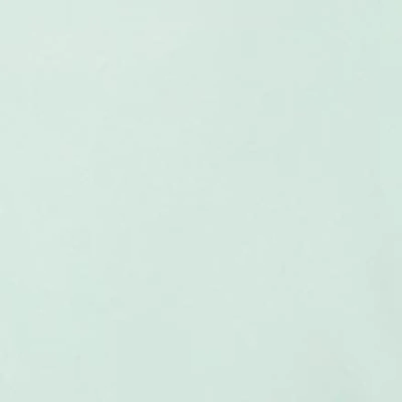 Magic Mint  2 Piece Suit + Tie