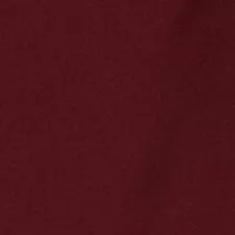 Blazing Burgundy  2 Piece Suit + Tie