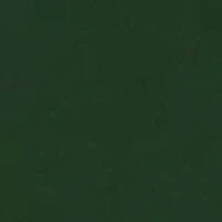 Glorious Green  2 Piece Suit + Tie