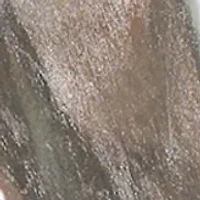 Shiny Silver  2 Piece Suit + Tie