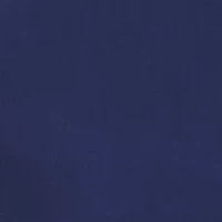 Big & Tall Solid Blue Stretch Pants