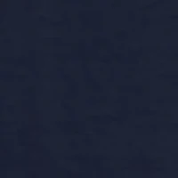 NCAA Jackson State Tigers Proud Graphic T-Shirt