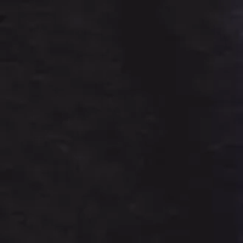 HBCU Alabama State Hornets T-Shirt