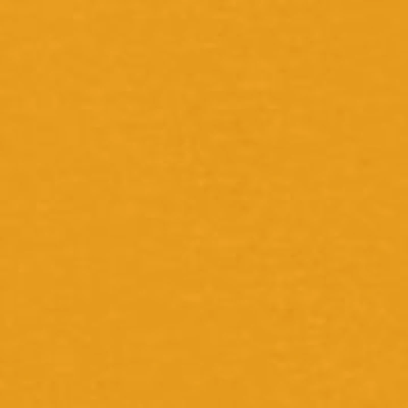 NCAA East Carolina Pirates Jersey Short Sleeve Graphic T-Shirt