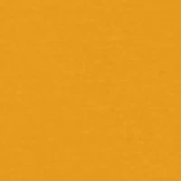 NCAA East Carolina Pirates Jersey Short Sleeve Graphic T-Shirt