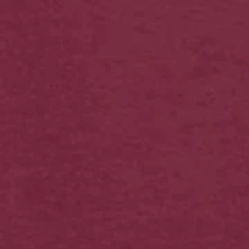 NCAA South Carolina Gamecocks Graphic T-Shirt