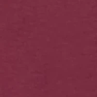 NCAA Florida State Seminoles Jersey Short Sleeve Graphic T-Shirt